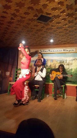 560 granada flamenco show